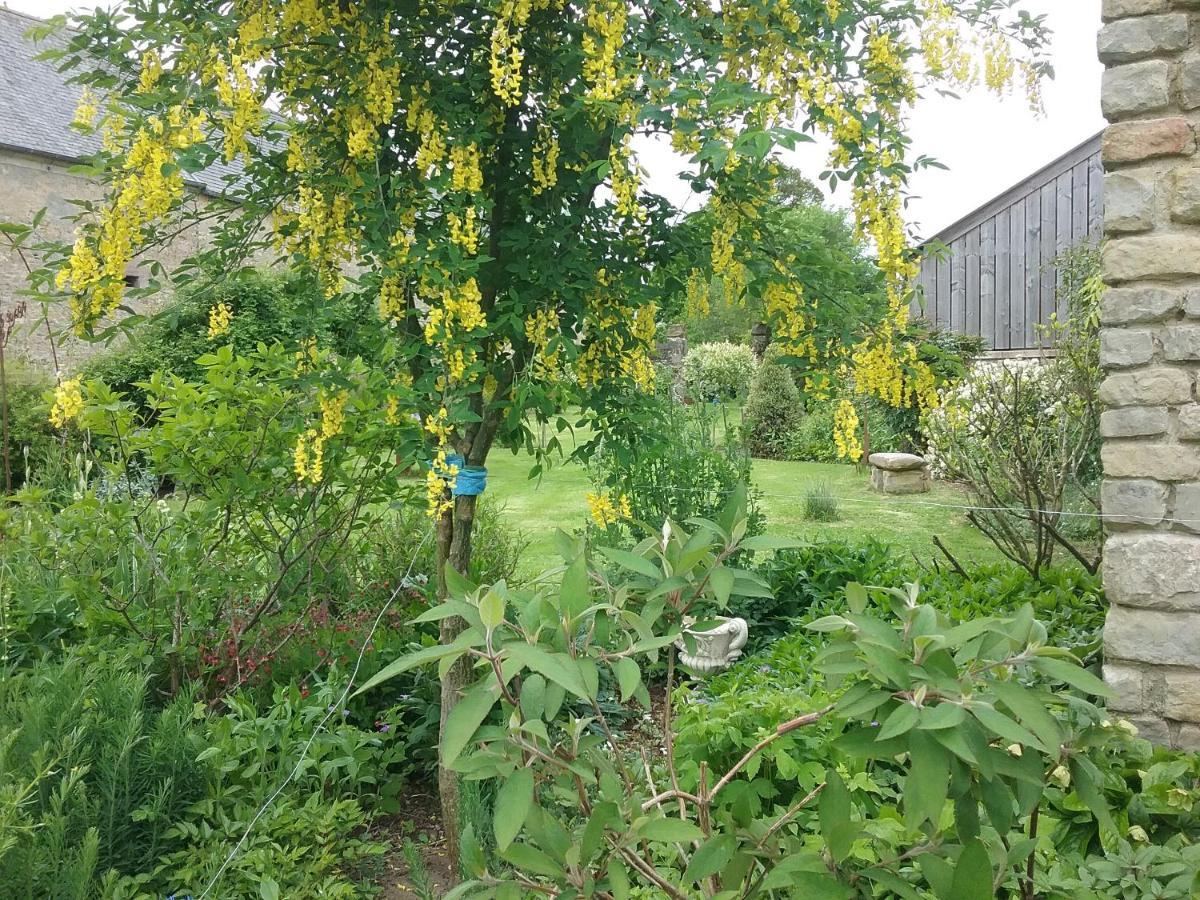 Chambre D'Hote Le 18-20 Saint-Martin-des-Entrees Luaran gambar